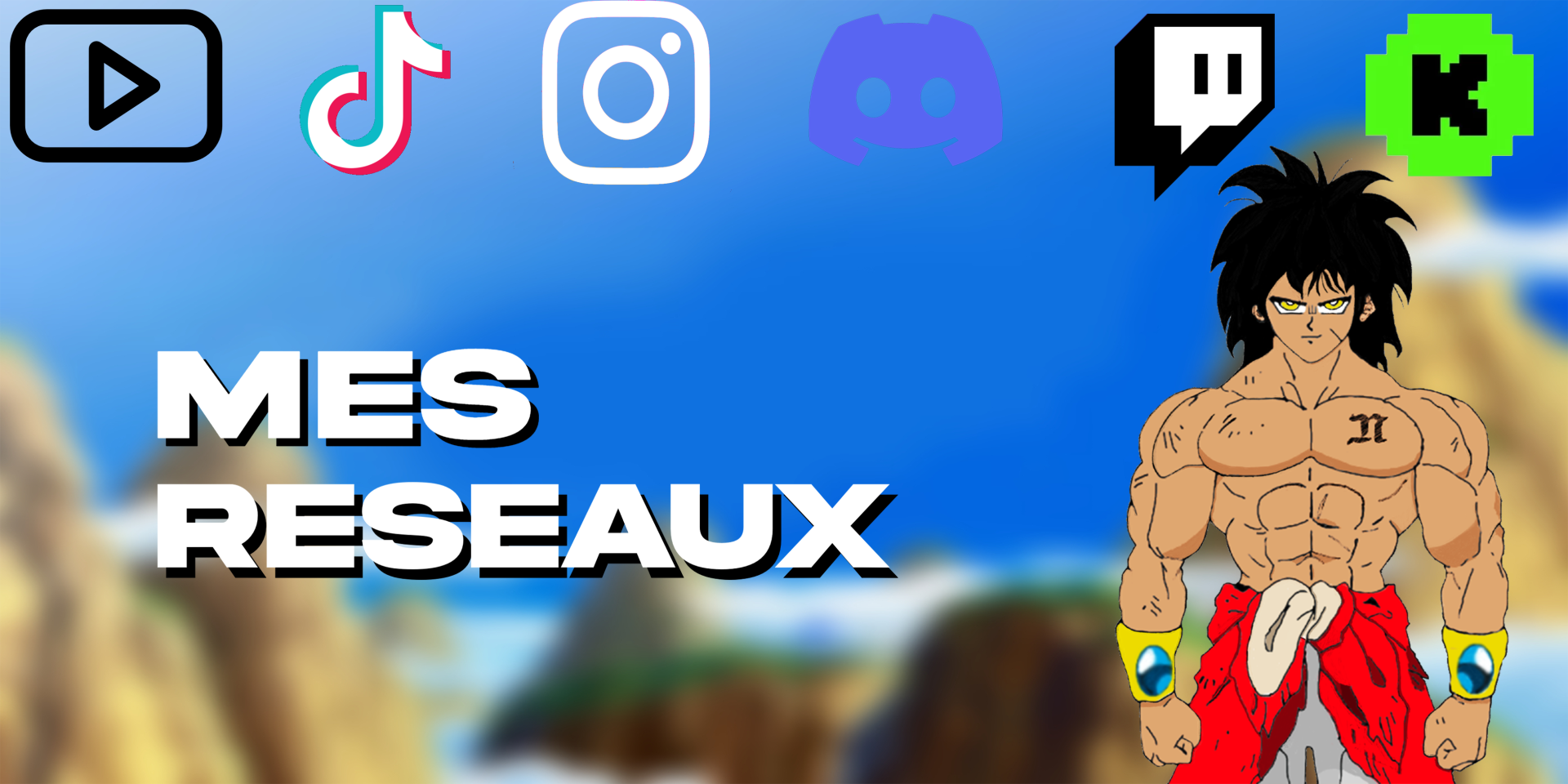 Banniere mes reseaux